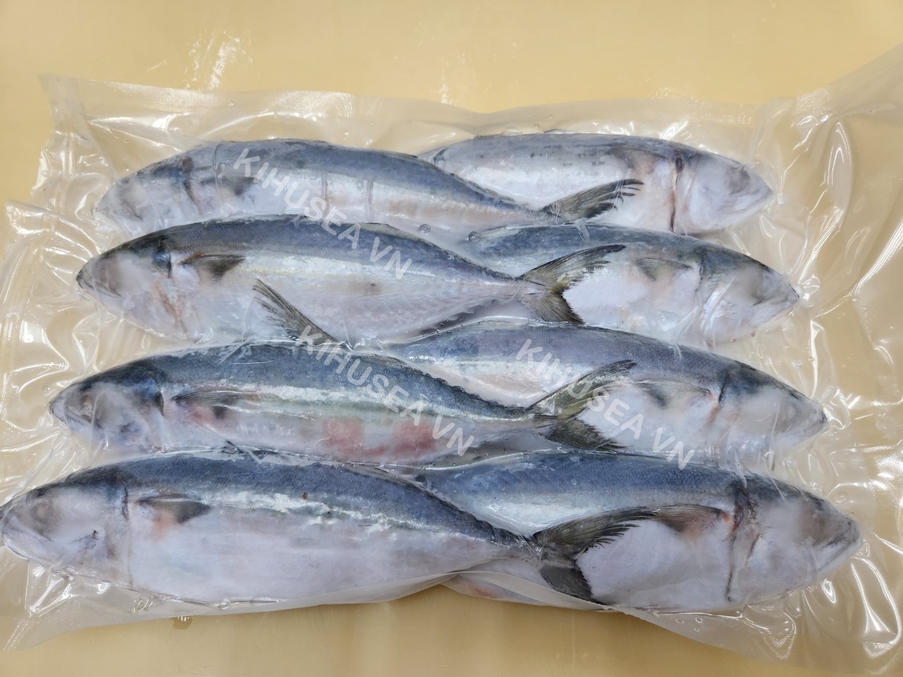 Cá bạc má nguyên con